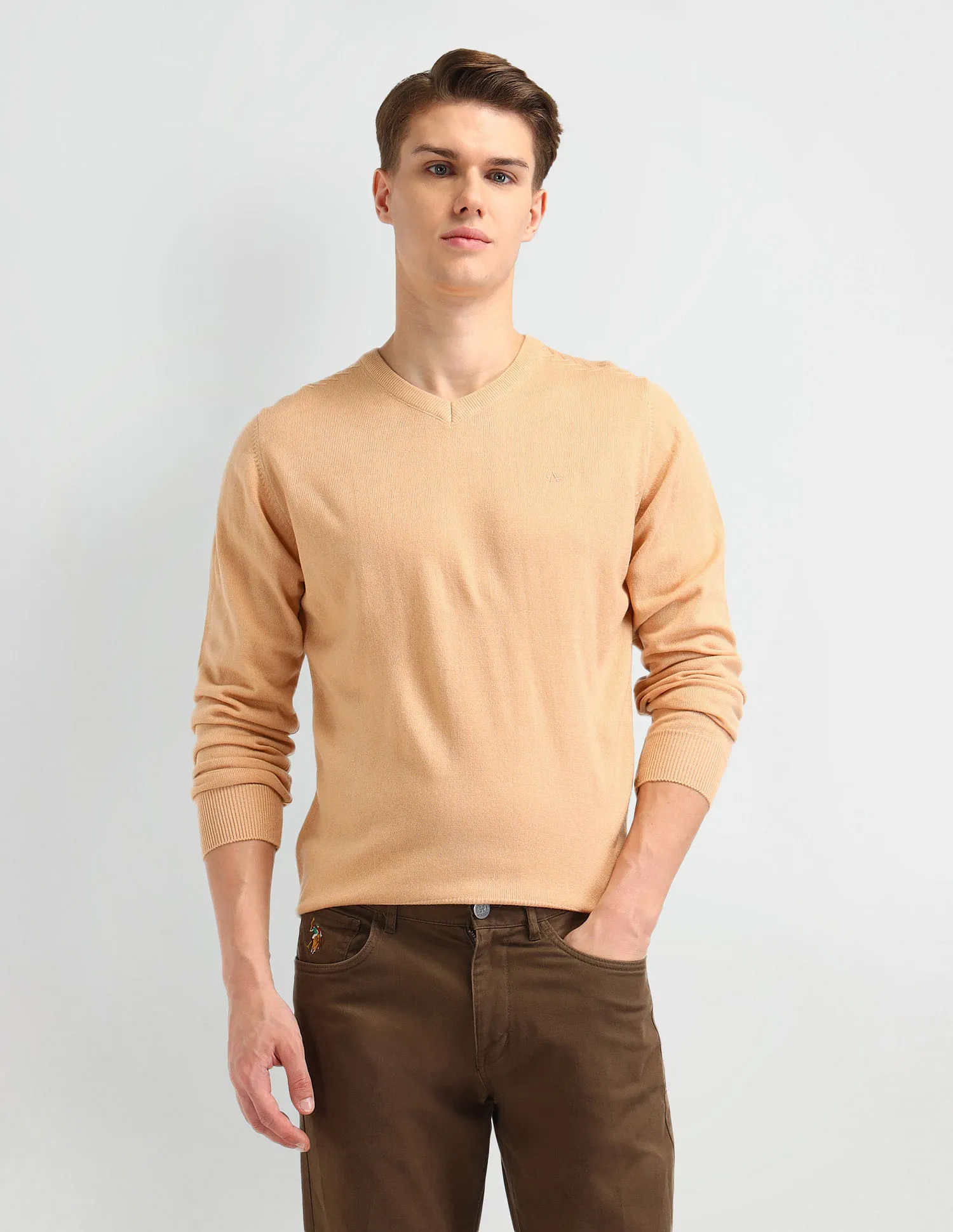 Arrow Solid Regular Fit Sweater