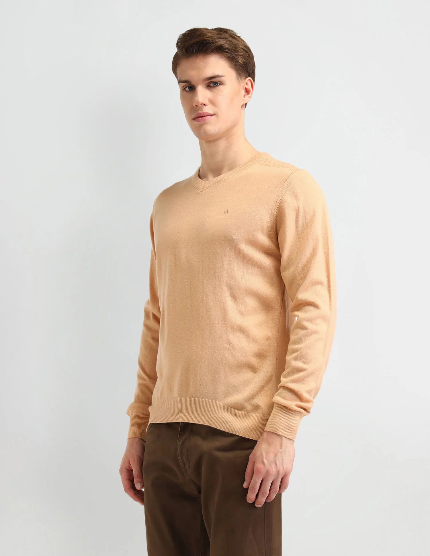 Arrow Solid Regular Fit Sweater