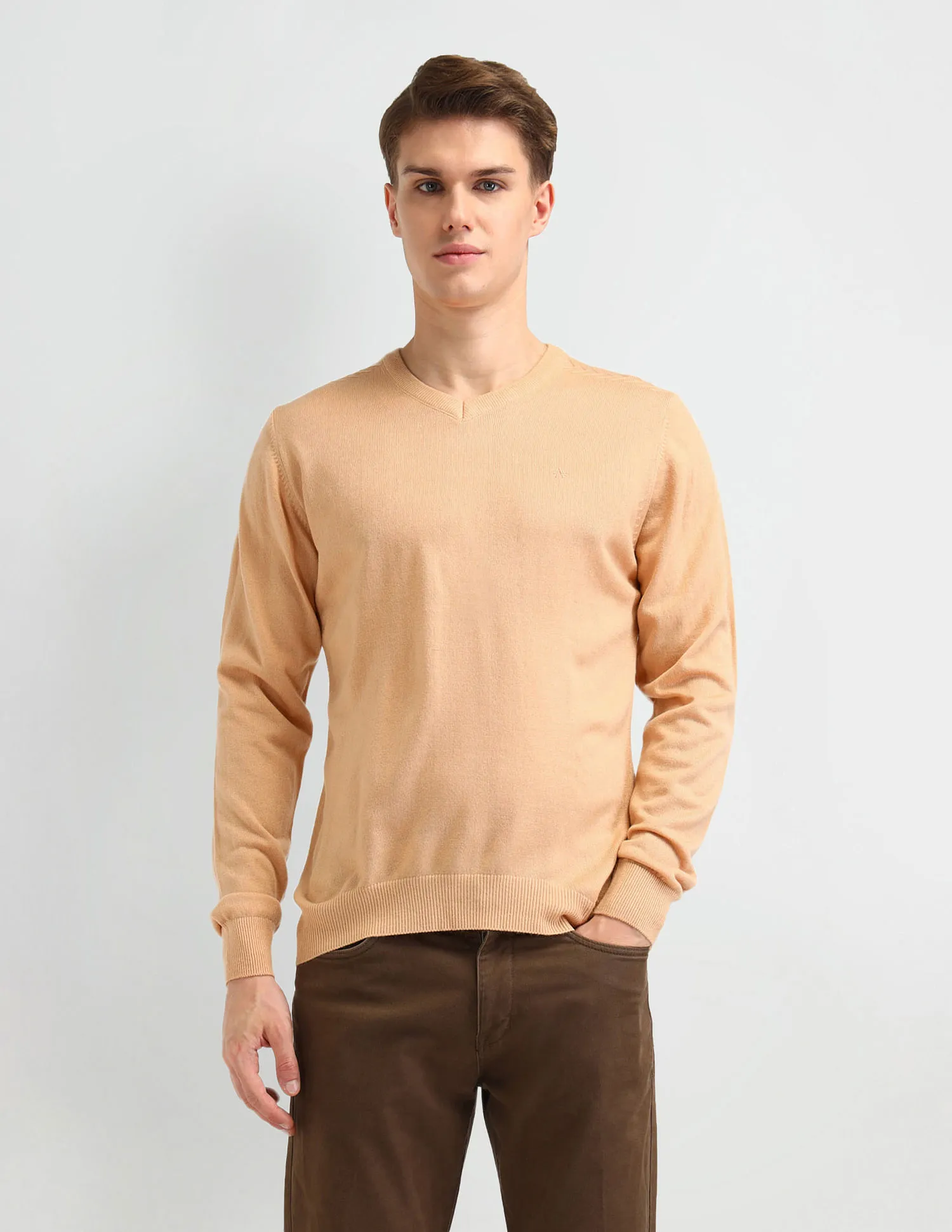 Arrow Solid Regular Fit Sweater