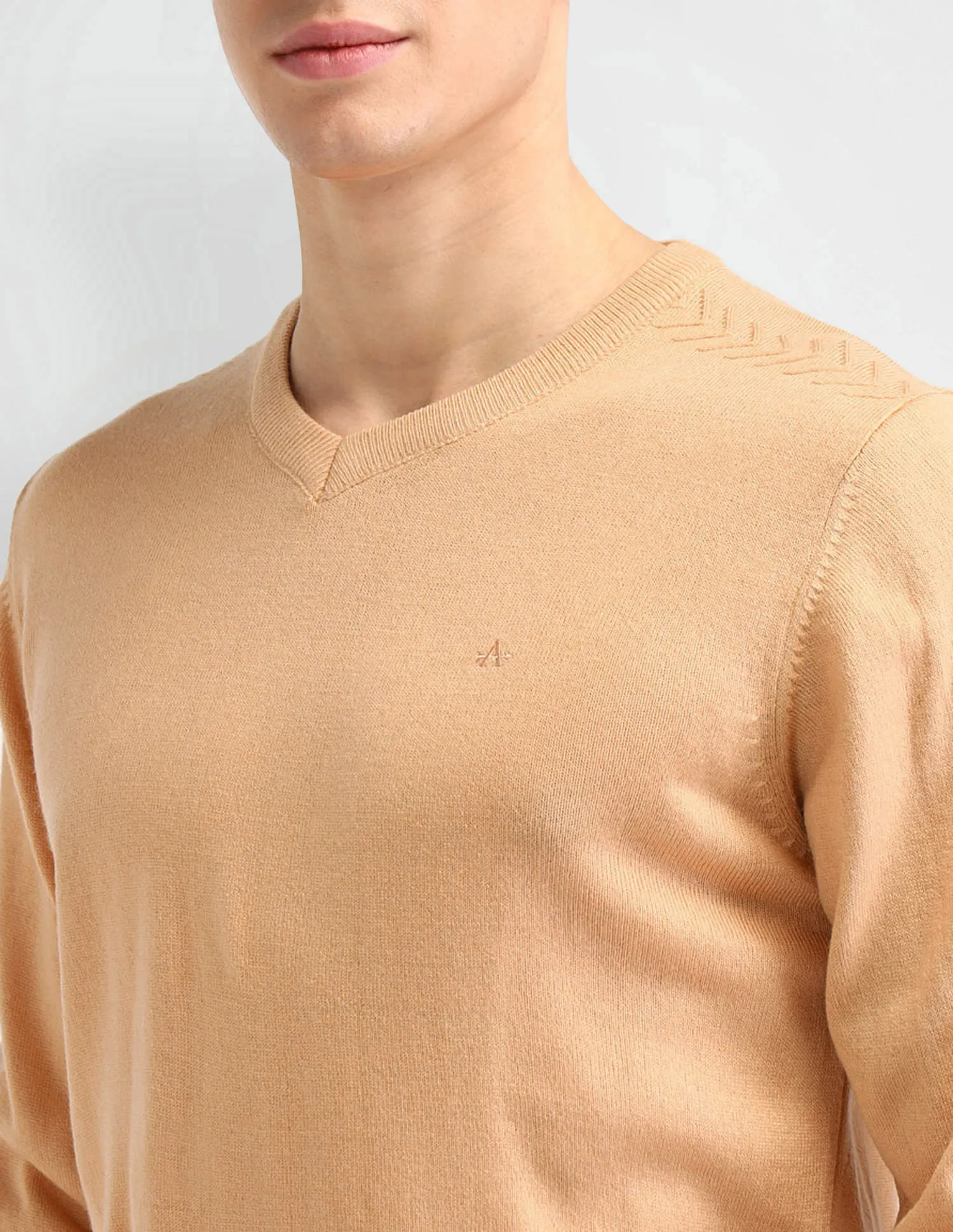 Arrow Solid Regular Fit Sweater