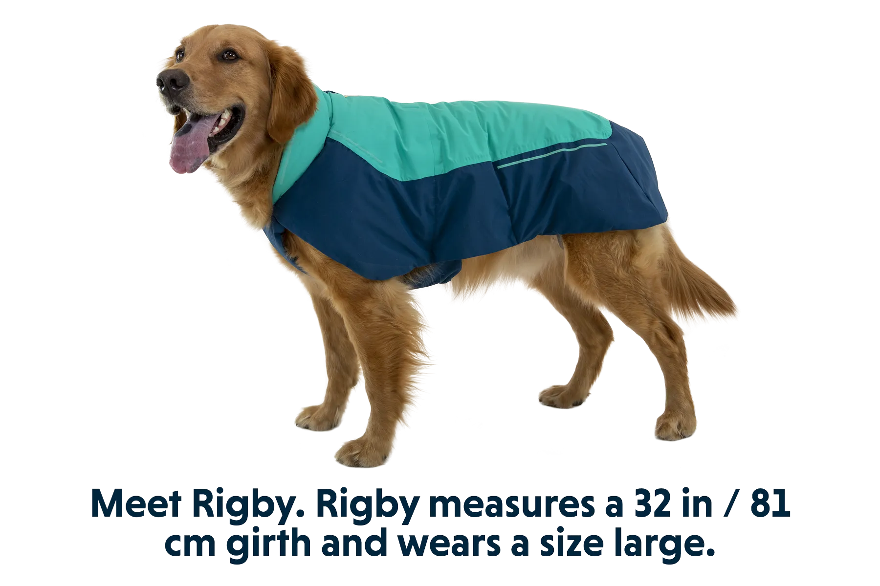 Vert Winter Dog Coat